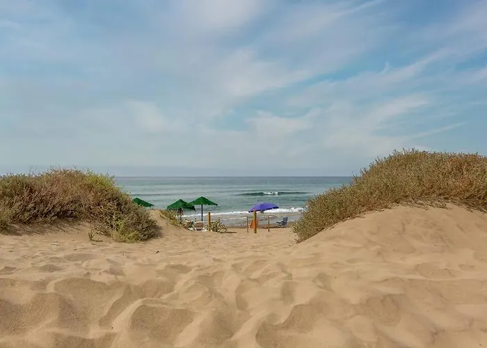 Oleholidays 1133 Romana Playa Primera Linea Playa