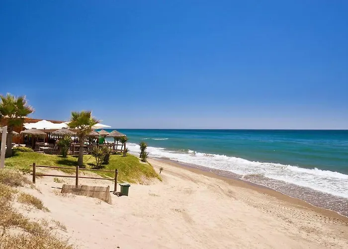 Oleholidays 1133 Romana Playa Primera Linea Playa